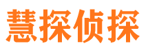 武定市调查公司